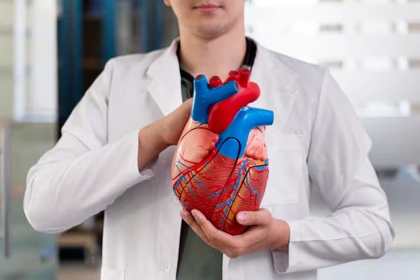 Cardiology